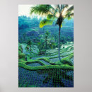 Recherche de rizières posters Tropical