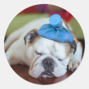 Recherche de sickers autocollants Mignon