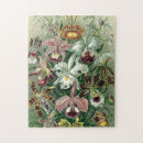 Recherche de beautiful puzzles Orchids