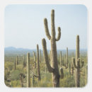 Recherche de cactus saguaro autocollants Les etats unis