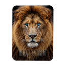 Recherche de aux yeux bleus magnets Toute personne