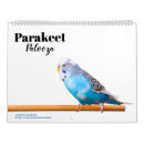 Recherche de palloza Palooza