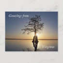 Recherche de marécages cartes postales Eau