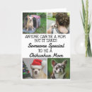 Recherche de chihuahuas vœux cartes Pour elle