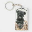 Recherche de miniature schnauzer accessoires Animaux domestiques
