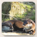 Recherche de loutre dessous de verres Mignon