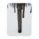 Recherche de contrastes magnets Personne