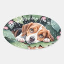 Recherche de chien de beagle autocollants Amoureux de les chiens
