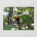 Recherche de factures cartes postales Pour tous