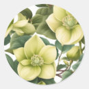 Recherche de hellebore autocollants Élégant