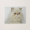 Recherche de perse puzzles Animal