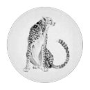 Recherche de chats ustensiles cuisine Animal