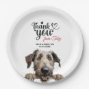 Recherche de wolfhound Dog