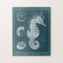 Recherche de hippocampe puzzles Côtier
