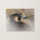 Recherche de pélerin puzzles Faucon pèlerin