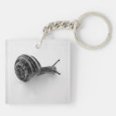 Recherche de escargots porteclés Animal