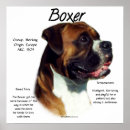 Recherche de deutscher art Boxeur