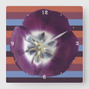 Recherche de fleurs de tulipes horloges Printemps