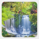 Recherche de forêt tropicale autocollants Plante