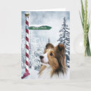 Recherche de sheltie vœux cartes Amoureux des chiens
