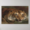 Recherche de bengal tiger posters Animaux