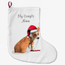 Recherche de corgi pembroke de chaussette de noël Chiot