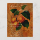 Recherche de abricot cartes postales Fruit
