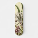 Recherche de dents skateboards Peinture