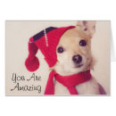 Recherche de studio chapeaux Dog