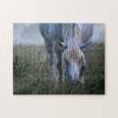 Recherche de cheval blanc puzzles Paysage