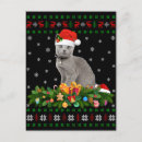 Recherche de amoureux les chats cartes postales Pour animaux