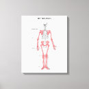 Recherche de éducation impressions sur toile Anatomie
