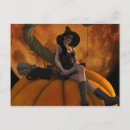 Recherche de balai cartes postales Chat