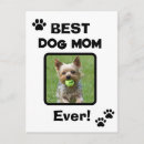 Recherche de chiens mignons cartes postales Pour animaux