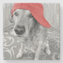 Recherche de animaux humoristiques dessous de verres Dog
