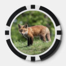 Recherche de renard jetons poker Nature