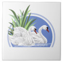 Recherche de cygnes carreaux Oiseaux