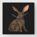 Recherche de lièvres horloges Animal sauvage