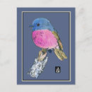Recherche de crayon couleur cartes postales Oiseau