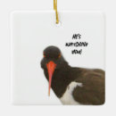 Recherche de oiseau ornements Faune