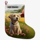 Recherche de labradors chaussette de noël Chiens