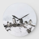 Recherche de pingouins horloges Amour