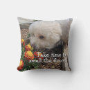 Recherche de bichon décoration coussins Pour tous