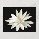 Recherche de seul cartes postales Méditation