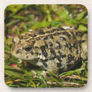 Recherche de faune dessous de verres Vue de côté