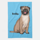 Recherche de carlins cuisine linges Dog
