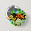 Recherche de monarque badges Papillon