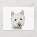 Recherche de chien westie cartes postales Westin