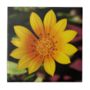 Recherche de marguerite carreaux Femmes