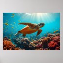Recherche de poissons tropicaux posters Pour lui